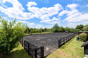 All-Weather Menage- click for photo gallery